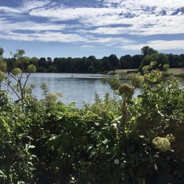 Nach Partys: Hamburger Stadtreinigung räumt Stadtpark auf