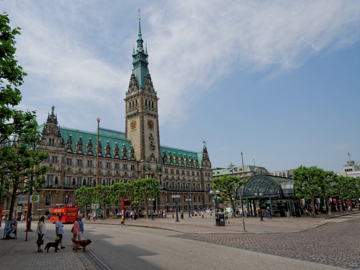 Ampel-Verhandlungen vor dem Start: Reaktionen aus Hamburg