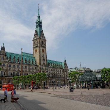 Ampel-Verhandlungen vor dem Start: Reaktionen aus Hamburg