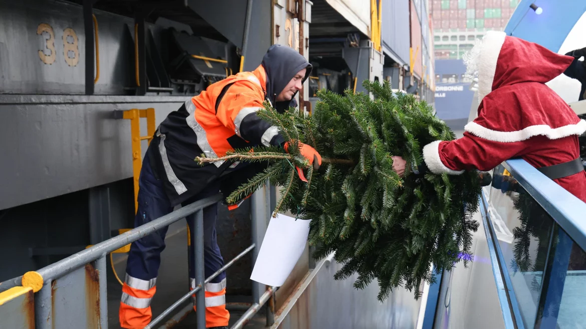 Weihnachtsbäume für Seeleute im Hamburger Hafen