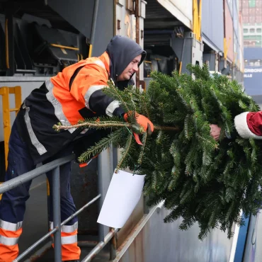 Weihnachtsbäume für Seeleute im Hamburger Hafen