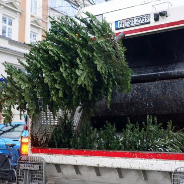 Hamburger Stadtreinigung sammelt ausgediente Weihnachtsbäume ein